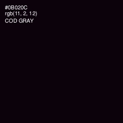 #0B020C - Cod Gray Color Image